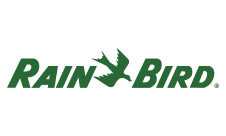 rainbird